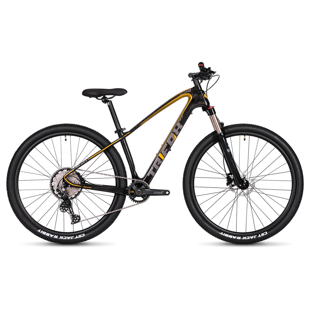 Carbon Mountain Bike With 12-Speed Drivetrain