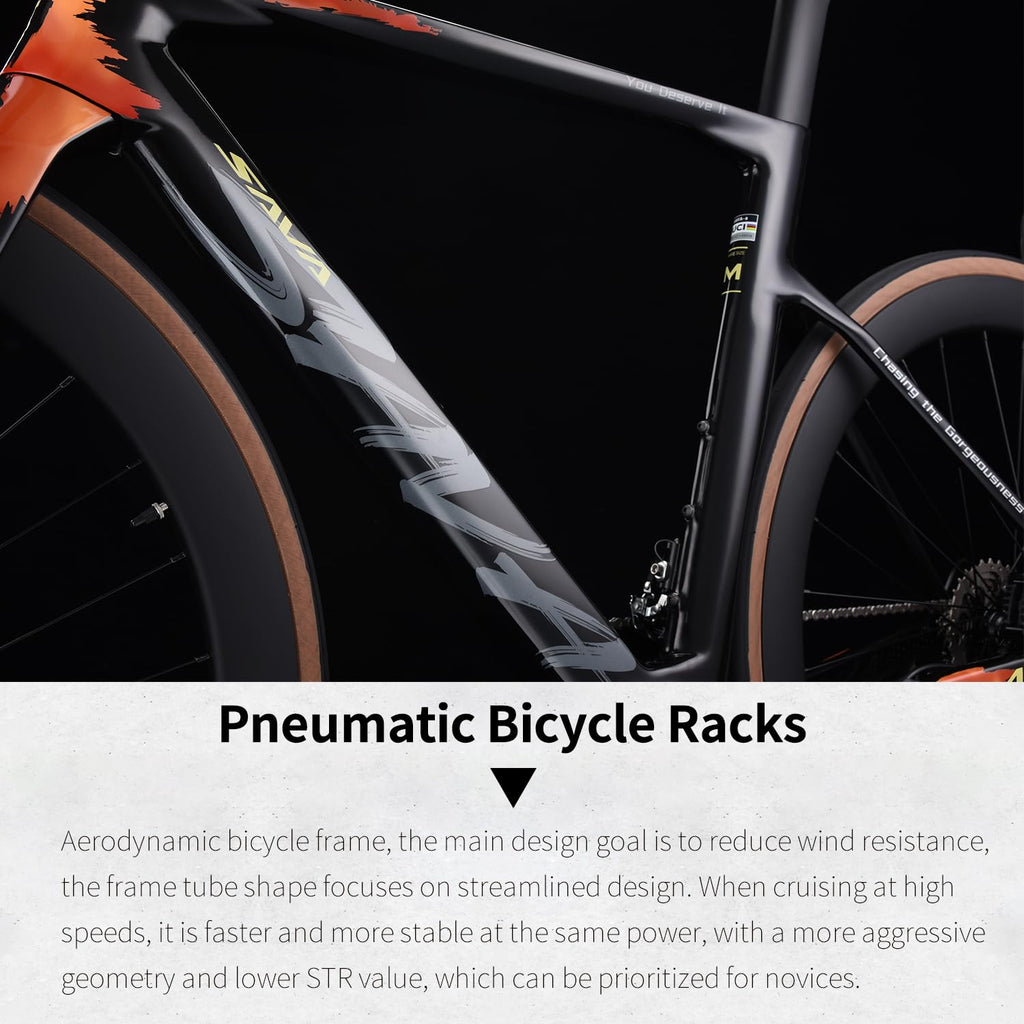Full Carbon Road Bike With Hydraulic Disc Brakes