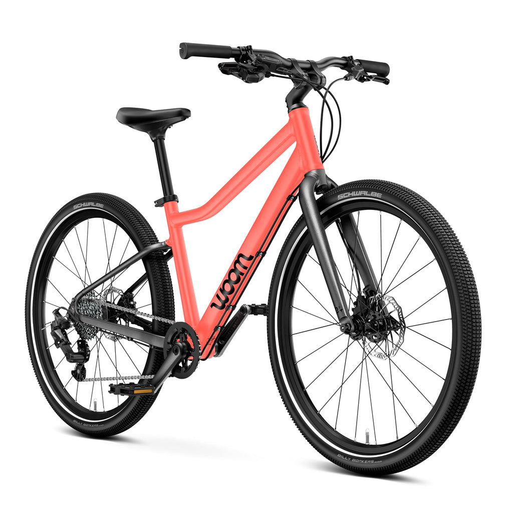 Kids Adventure Bike With Disc Brakes