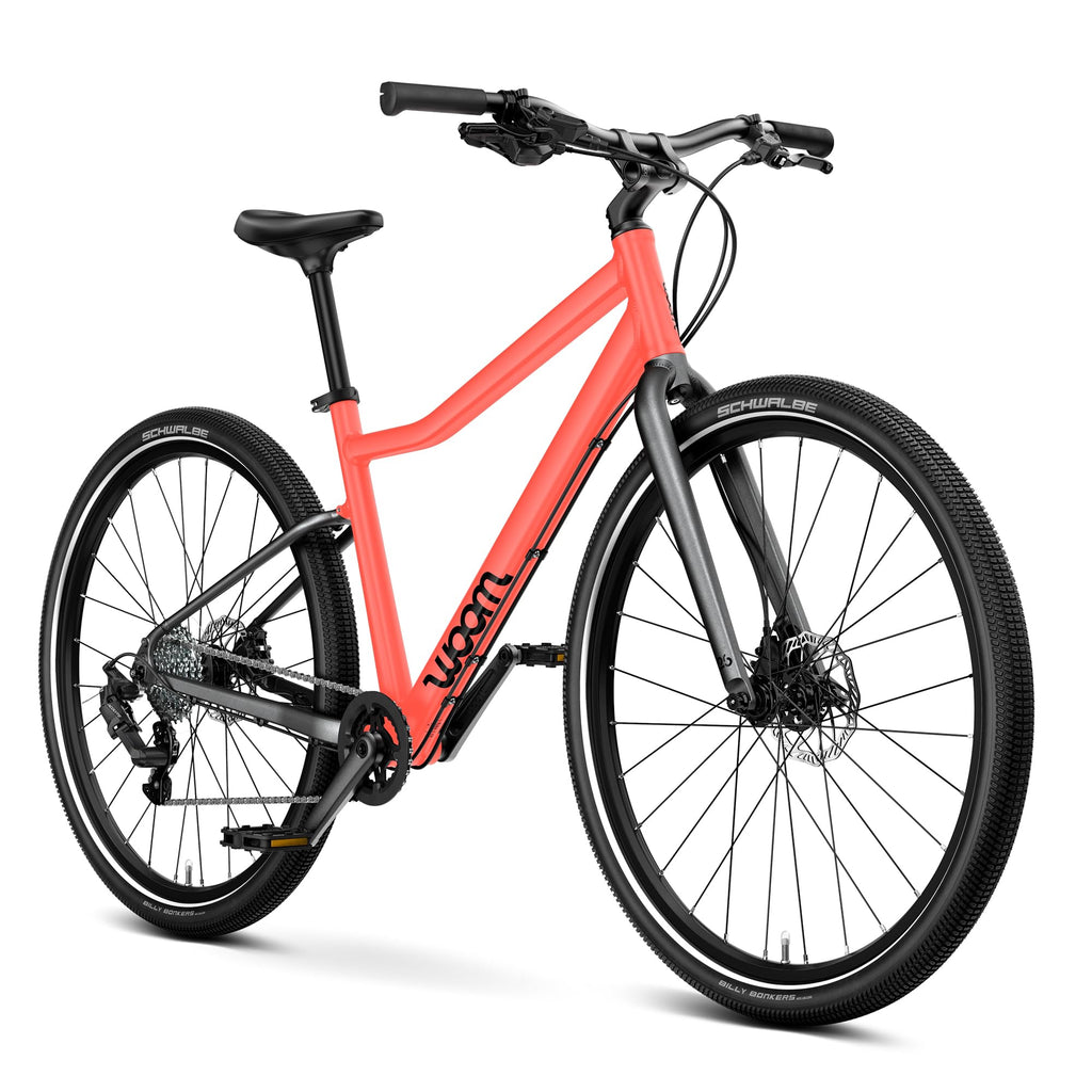Kids Adventure Bike With Disc Brakes