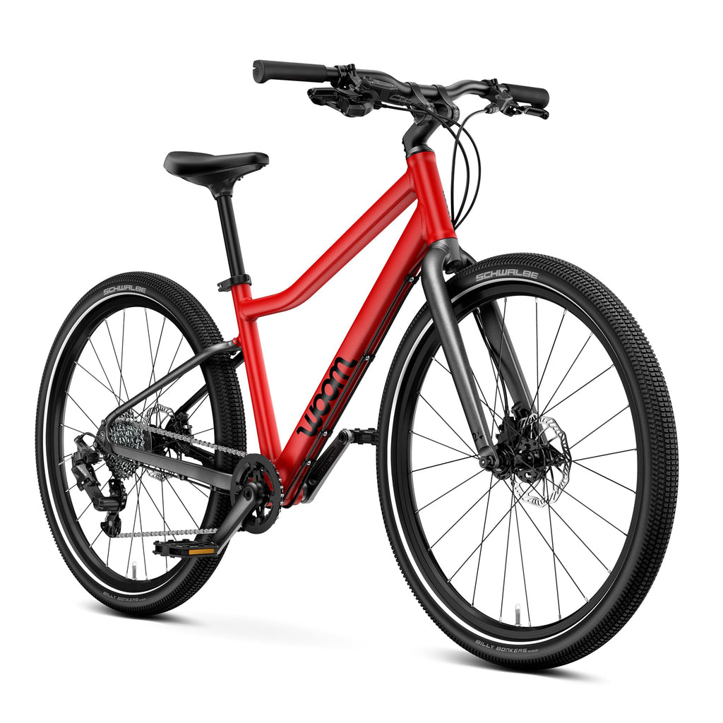 Kids Adventure Bike With Disc Brakes