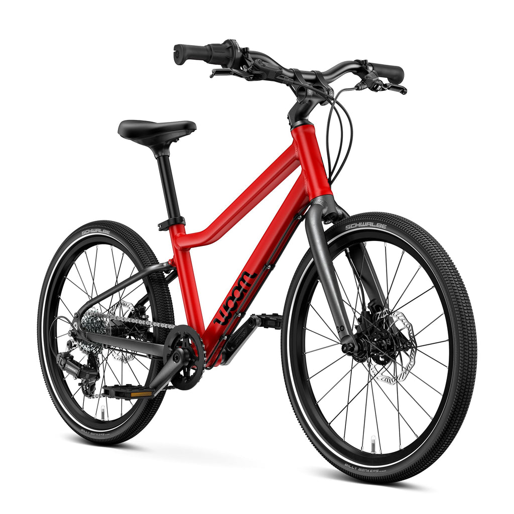 Kids Adventure Bike With Disc Brakes