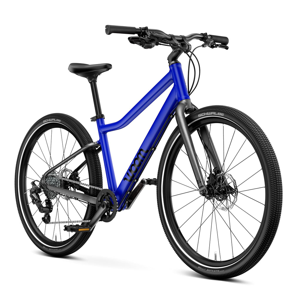 Kids Adventure Bike With Disc Brakes