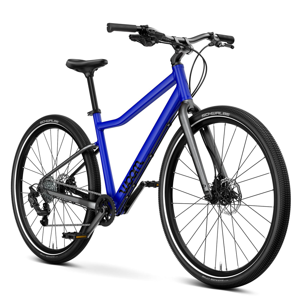 Kids Adventure Bike With Disc Brakes