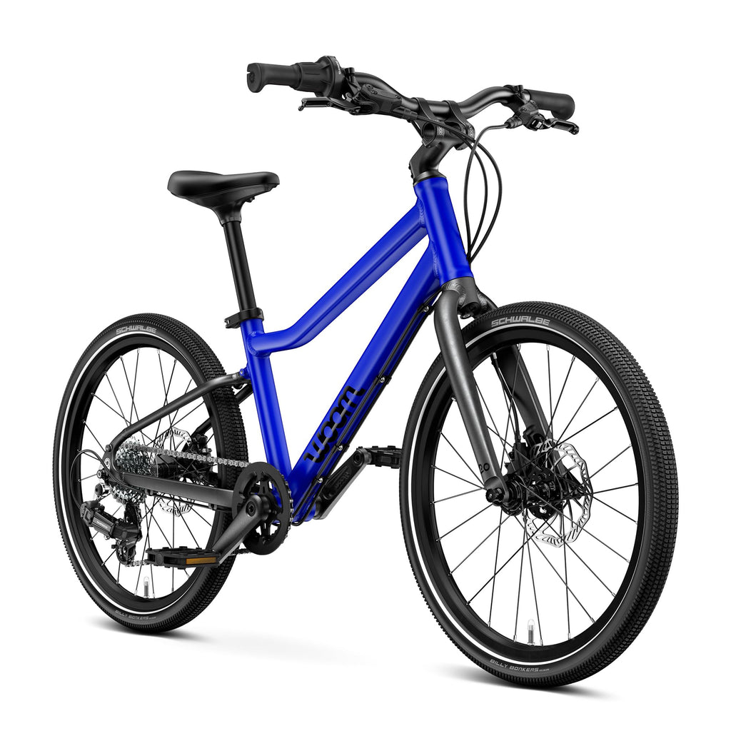 Kids Adventure Bike With Disc Brakes